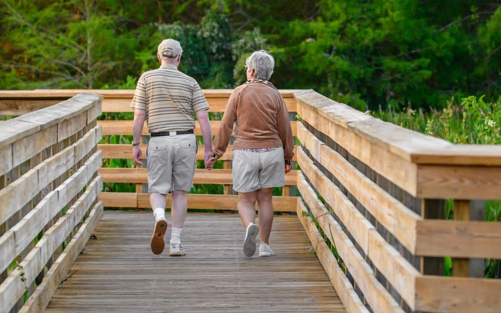 Casal caminhando de mãos dadas em uma passarela de madeira